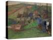 Stretched Canvas Print