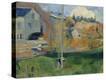 Stretched Canvas Print