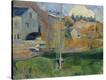 Stretched Canvas Print
