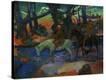 Stretched Canvas Print