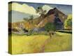 Stretched Canvas Print