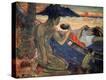 Stretched Canvas Print