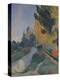 Stretched Canvas Print