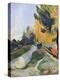 Stretched Canvas Print