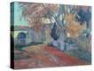 Stretched Canvas Print