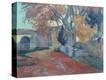 Stretched Canvas Print