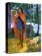 Stretched Canvas Print