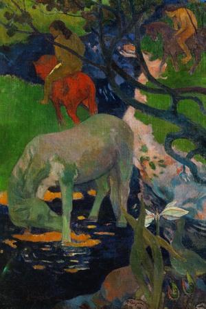 Paul Gauguin Musee d`Orsay Wall Art: Prints, Paintings