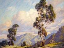 Eucalyptus-Paul Grimm-Stretched Canvas