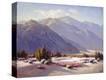 Stretched Canvas Print