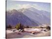 Stretched Canvas Print