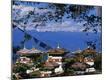 Premium Photographic Print