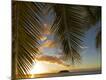 Premium Photographic Print