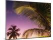 Premium Photographic Print