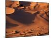 Premium Photographic Print