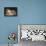 Paul Henner endormi-Jean Jacques Henner-Framed Premier Image Canvas displayed on a wall