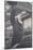 Paul Kruger-null-Mounted Art Print