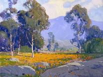 Poppy Fields-Paul Lauritz-Stretched Canvas