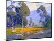 Premium Giclee Print