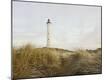 Photographic Print