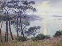 Pine Trees at the Seashore-Paul Madeline-Framed Giclee Print