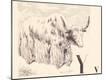 Giclee Print