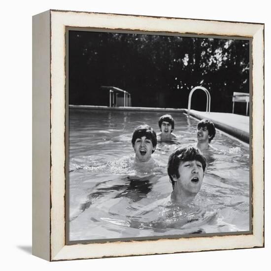 Paul McCartney, George Harrison, John Lennon and Ringo Starr Taking a Dip in a Swimming Pool-John Loengard-Framed Premier Image Canvas