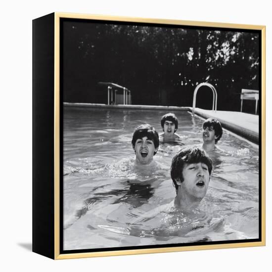 Paul McCartney, George Harrison, John Lennon and Ringo Starr Taking a Dip in a Swimming Pool-John Loengard-Framed Premier Image Canvas