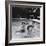 Paul McCartney, George Harrison, John Lennon and Ringo Starr Taking a Dip in a Swimming Pool-null-Framed Premium Photographic Print