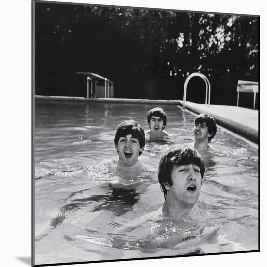 Paul McCartney, George Harrison, John Lennon and Ringo Starr Taking a Dip in a Swimming Pool-null-Mounted Premium Photographic Print