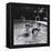 Paul McCartney, George Harrison, John Lennon and Ringo Starr Taking a Dip in a Swimming Pool-null-Framed Premier Image Canvas