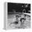 Paul McCartney, George Harrison, John Lennon and Ringo Starr Taking a Dip in a Swimming Pool-null-Framed Premier Image Canvas