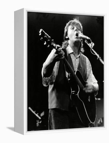 Paul Mccartney on Stage In, 1989-Associated Newspapers-Framed Stretched Canvas