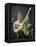 Paul McCartney-null-Framed Premier Image Canvas