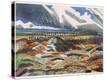 Stretched Canvas Print