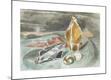 Premium Giclee Print