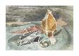 Premium Giclee Print