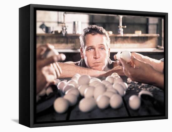 Paul Newman. "Cool Hand Luke" [1967], Directed by Stuart Rosenberg.-null-Framed Premier Image Canvas