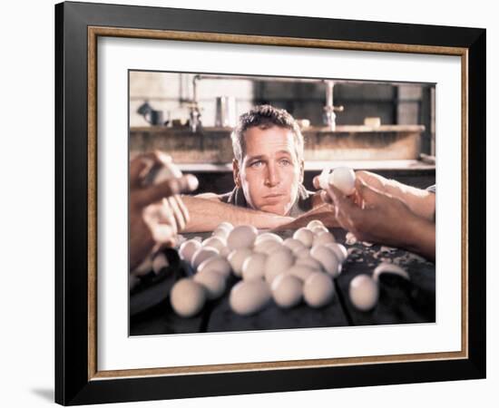 Paul Newman. "Cool Hand Luke" [1967], Directed by Stuart Rosenberg.-null-Framed Photographic Print