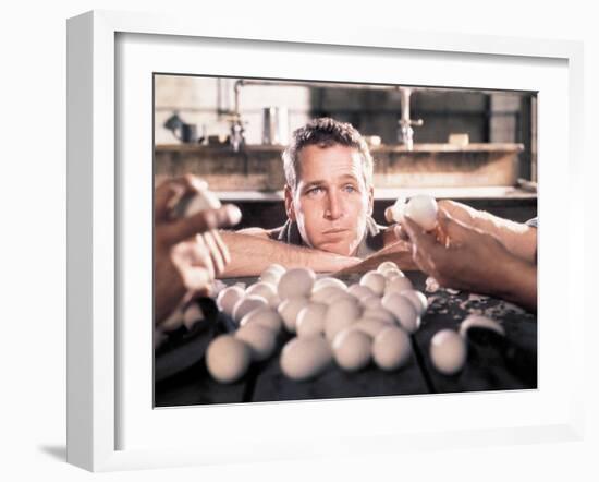 Paul Newman. "Cool Hand Luke" [1967], Directed by Stuart Rosenberg.-null-Framed Photographic Print