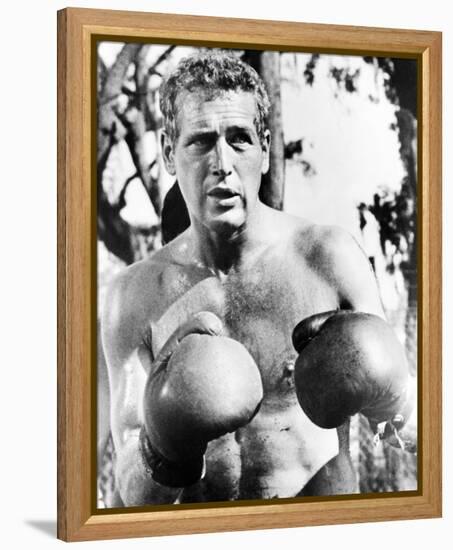 Paul Newman, Cool Hand Luke (1967)-null-Framed Stretched Canvas