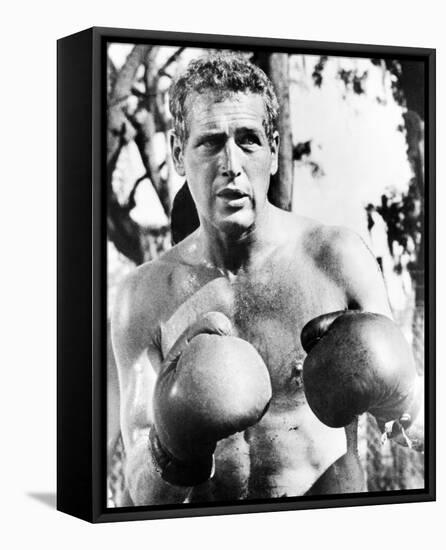 Paul Newman, Cool Hand Luke (1967)-null-Framed Stretched Canvas