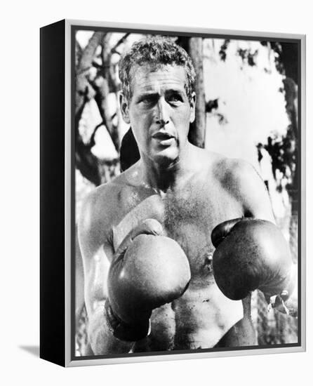 Paul Newman, Cool Hand Luke (1967)-null-Framed Stretched Canvas