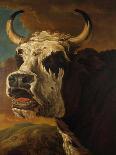 A Cow Calving-Paul Potter-Framed Lithograph