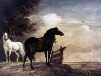 Potter: Horses, 1649-Paul Potter-Premier Image Canvas