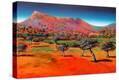 Stretched Canvas Print