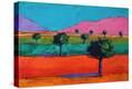Stretched Canvas Print