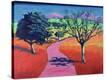 Stretched Canvas Print
