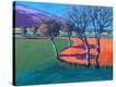 Stretched Canvas Print