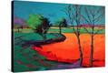 Stretched Canvas Print